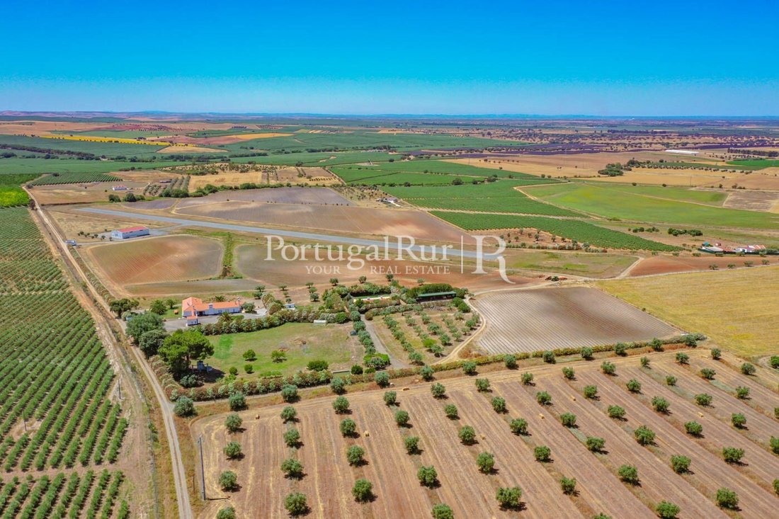 Estate in Ferreira do Alentejo e Canhestros, Beja District, Portugal 1 - 14864336