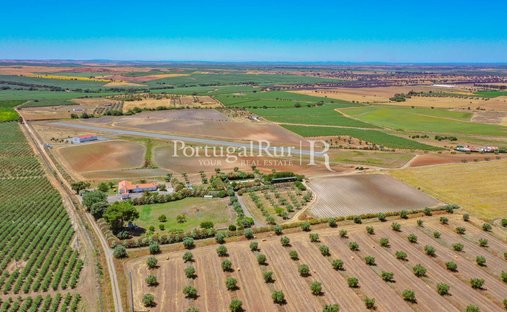 Estate in Ferreira do Alentejo e Canhestros, Beja District, Portugal 1
