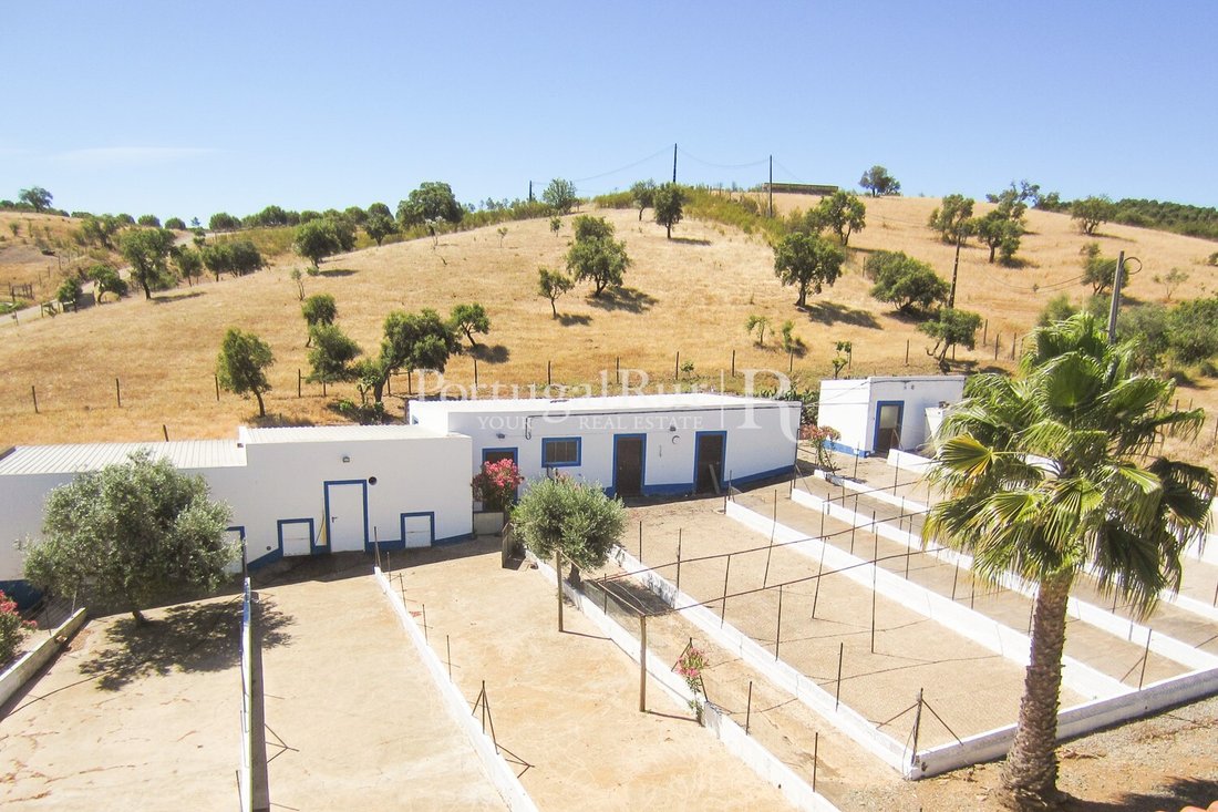 Estate in Sao Mancos e Sao Vicente do Pigeiro, Évora District, Portugal 4 - 10676976