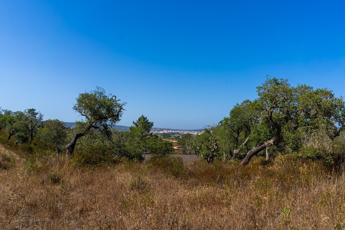 Finca in Aljezur, Algarve, Portugal 2 - 16392871