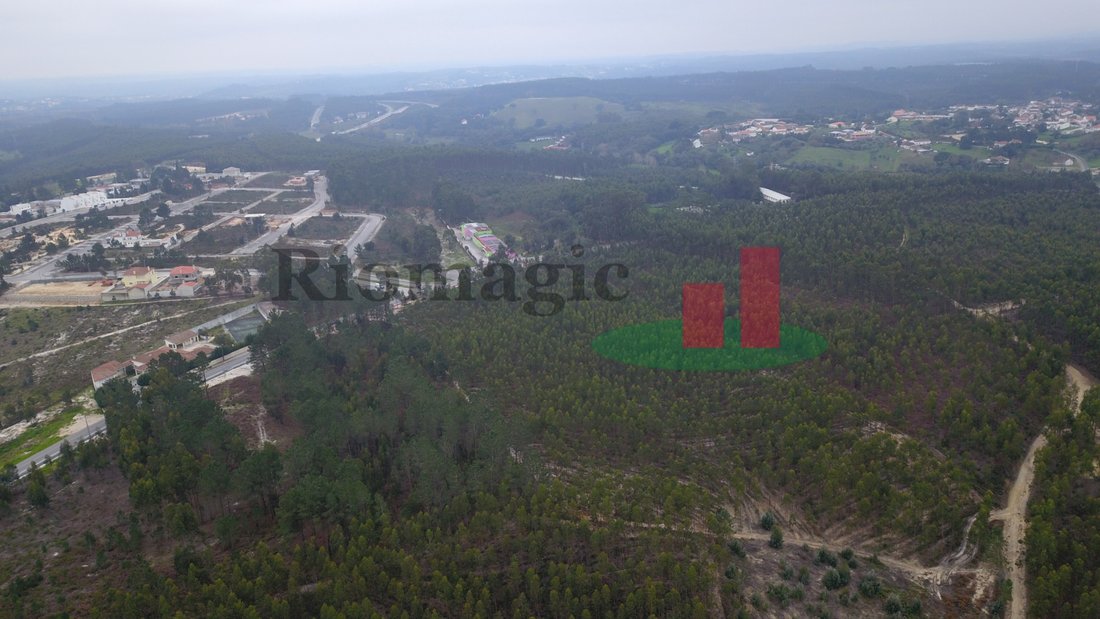 Land in Rio Maior, Santarem District, Portugal 5 - 12609681