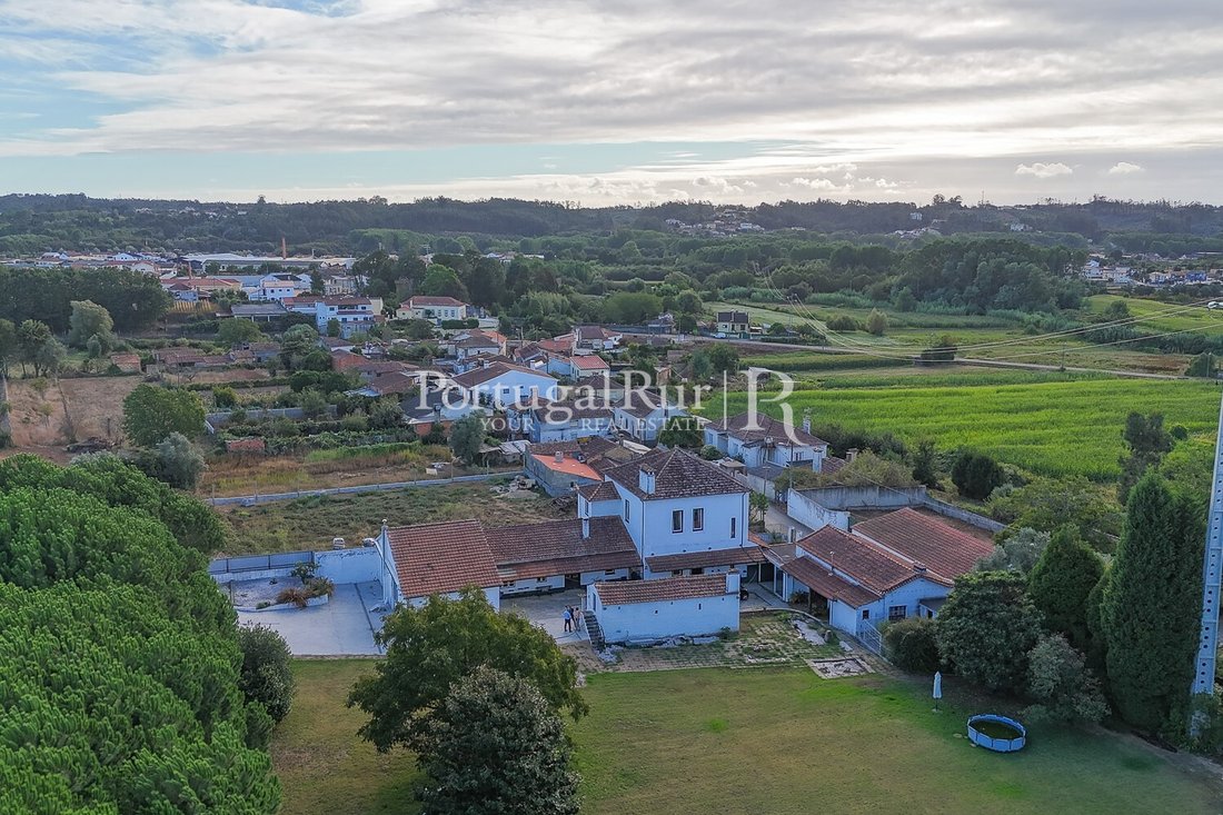 Finca in Valongo do Vouga, Aveiro District, Portugal 4 - 16533723