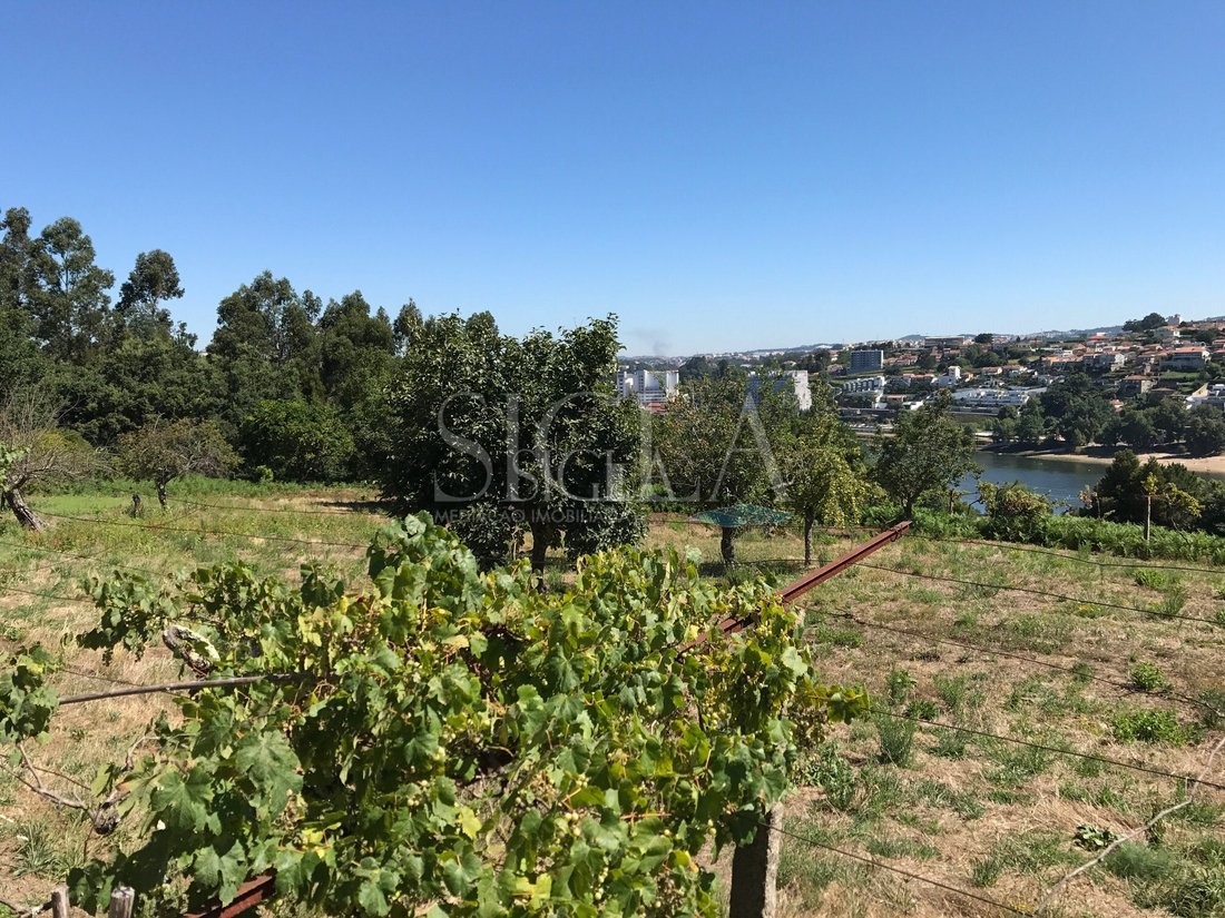 Land in Oliveira do Douro, Porto District, Portugal 4 - 12439335