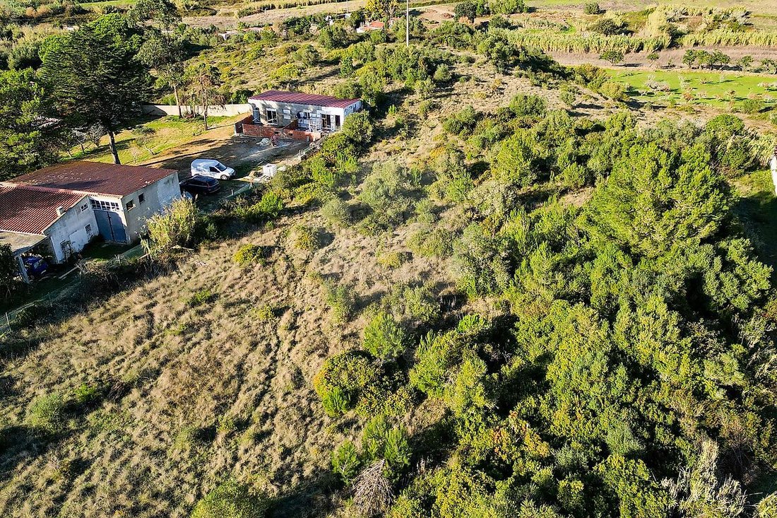 Land in Sintra, Lisbon, Portugal 3 - 16711432