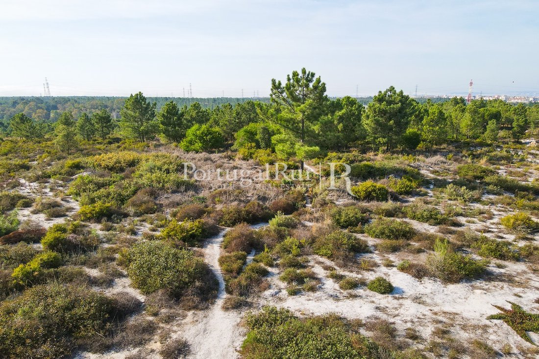Terrain à Seixal, Arrentela et Aldeia de Paio Pires, Setúbal Municipality, Portugal 3 - 14876484