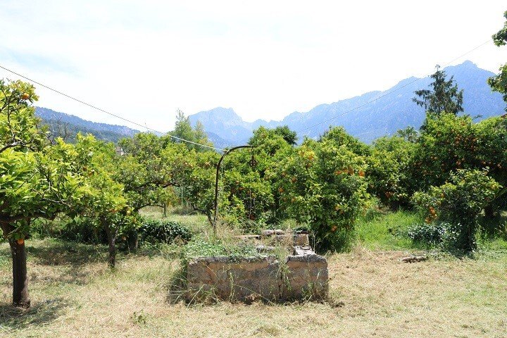 Country House in Soller, Balearic Islands, Spain 5 - 12736277