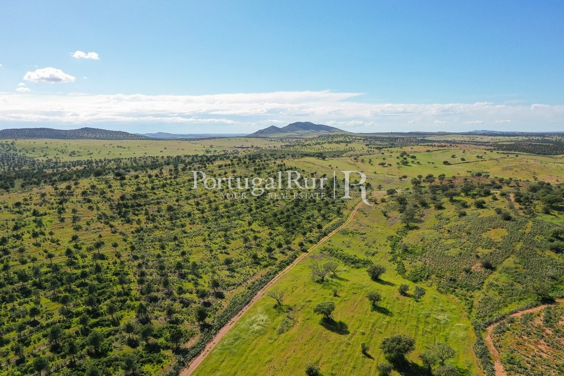 Domaine à São Miguel do Pinheiro, Beja, Portugal 5 - 14172484