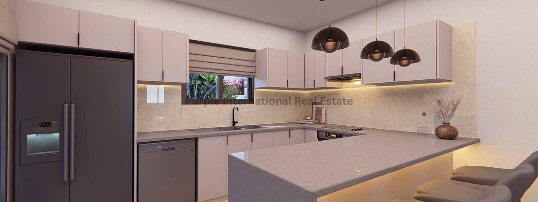 Villa in Argaka, Paphos, Cyprus 3 - 16712725