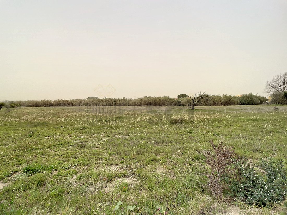 Land in Quinta do Anjo, Setubal, Portugal 4 - 15306941