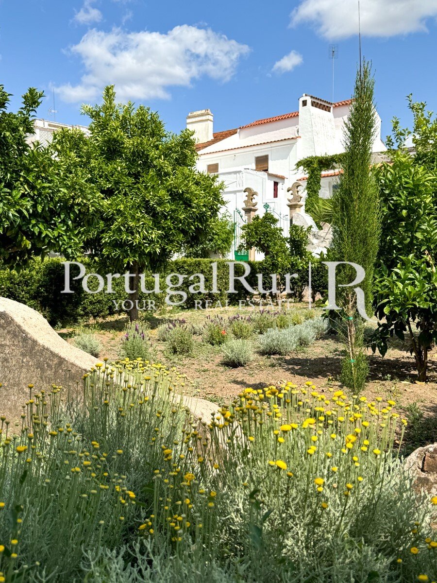 House in Cabeco de Vide, Portalegre District, Portugal 5 - 16477895