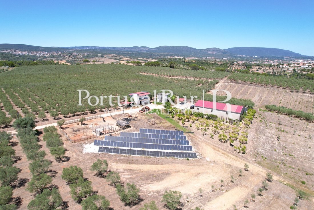 Finca in Malhou, Louriceira e Espinheiro, Santarem District, Portugal 4 - 15118129