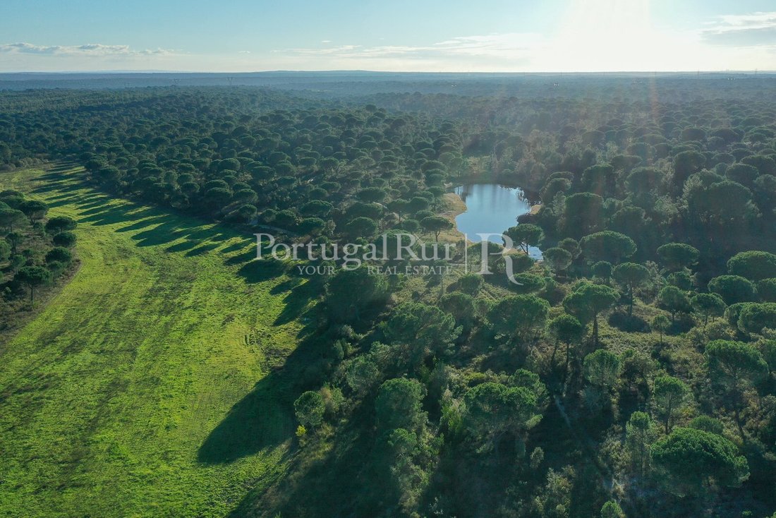Estate in Vendas Novas, Évora District, Portugal 1 - 15047246