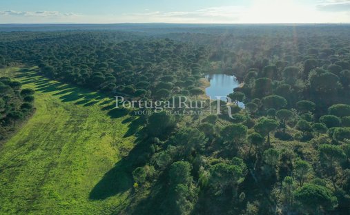 Domaine à Vendas Novas, District d'Évora, Portugal 1