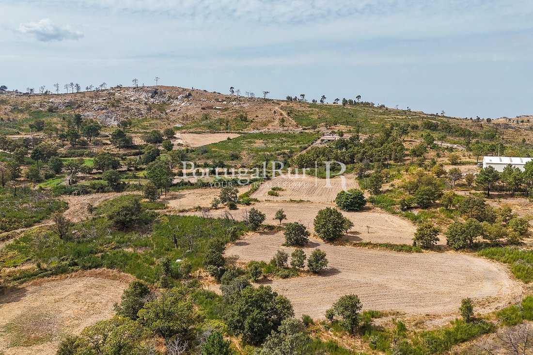 Estate in Guarda, Guarda District, Portugal 4 - 16563799