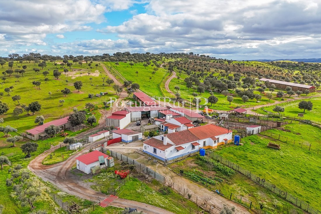Estate in Sao Mancos e Sao Vicente do Pigeiro, Évora District, Portugal 1 - 15348500