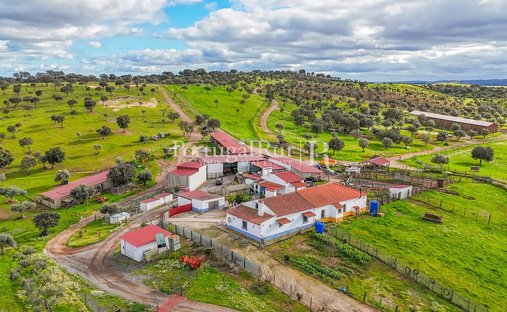 Anwesen in Sao Mancos e Sao Vicente do Pigeiro, Distrikt Évora, Portugal 1