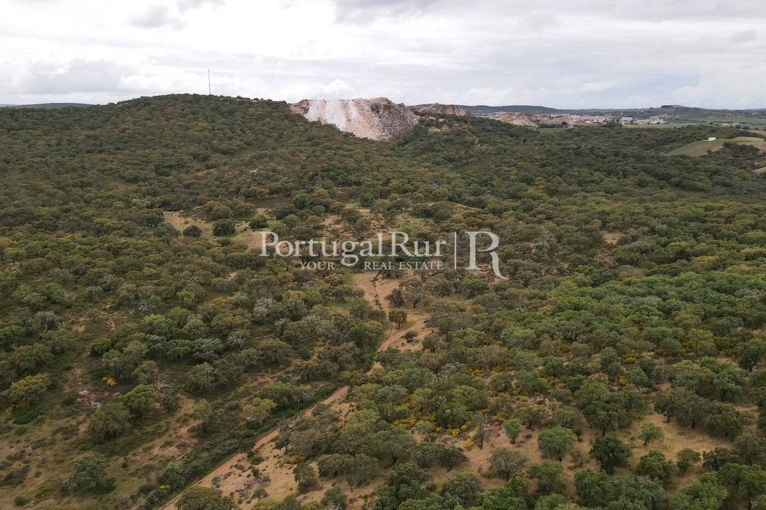 Estate in Borba (Matriz), Évora District, Portugal 5 - 14869555