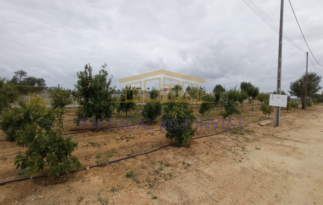 Land in Guia, Algarve, Portugal 4 - 12274896