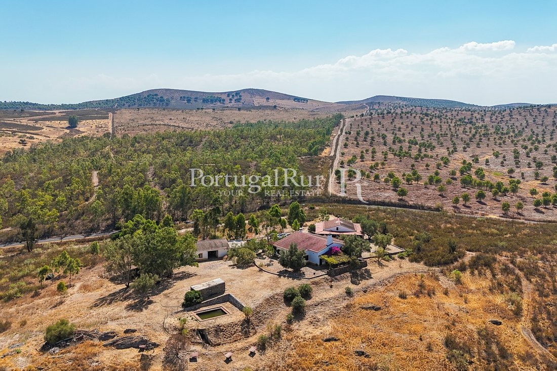 Finca in Albernoa e Trindade, Beja District, Portugal 5 - 16104260