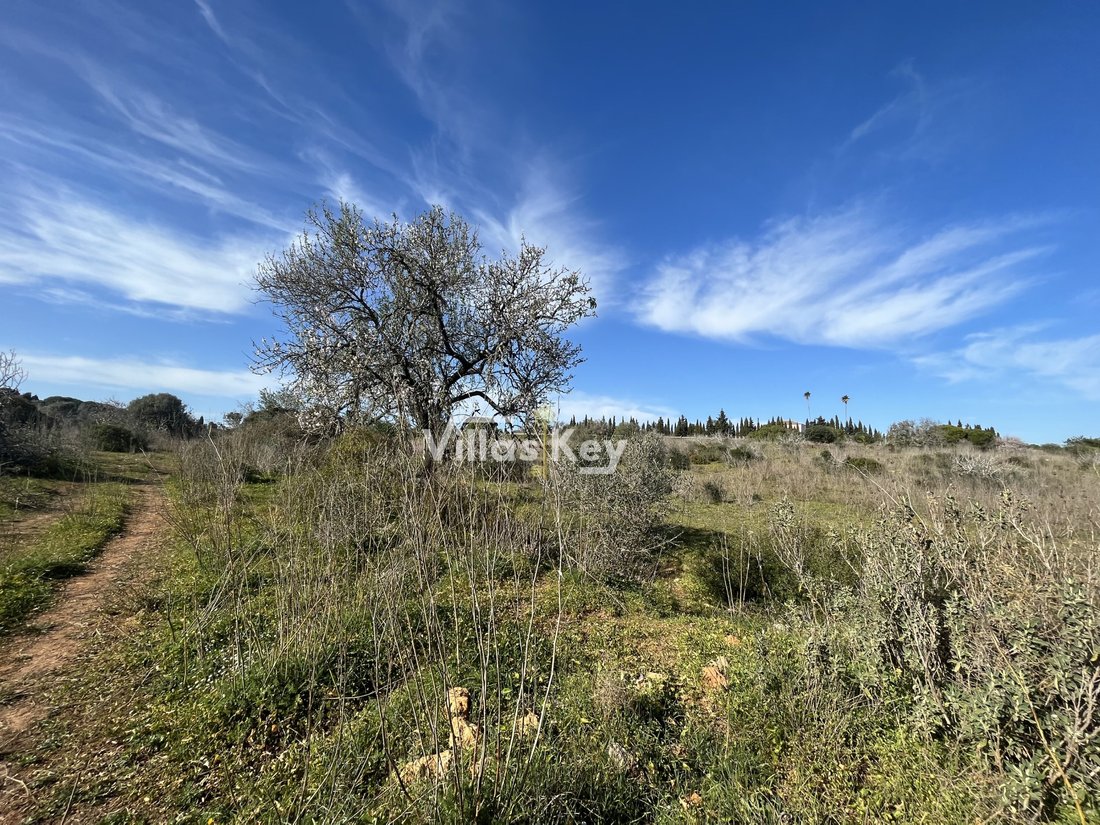 Land in São Sebastião, Lagos, Sao Goncalo de Lagos, Portugal 1 - 13227834