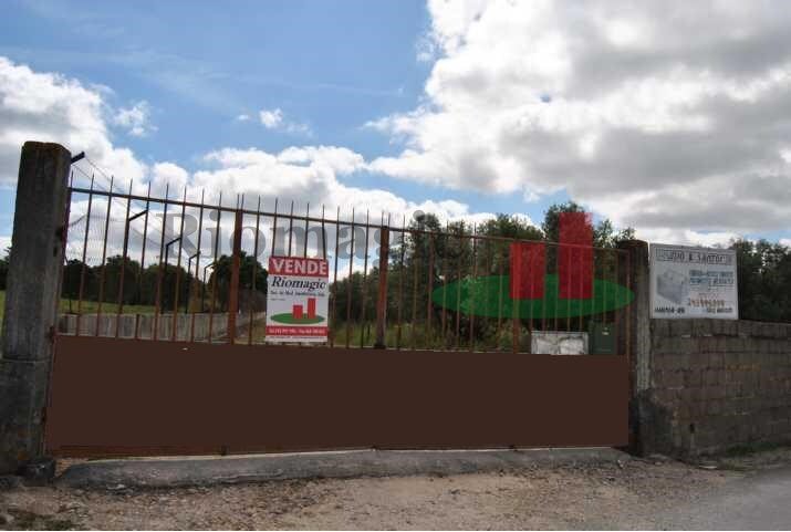 Land in Rio Maior, Santarem District, Portugal 4 - 12591102