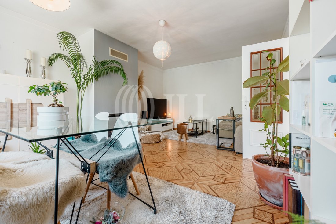 House in Carvalhal, Setubal, Portugal 3 - 14133004
