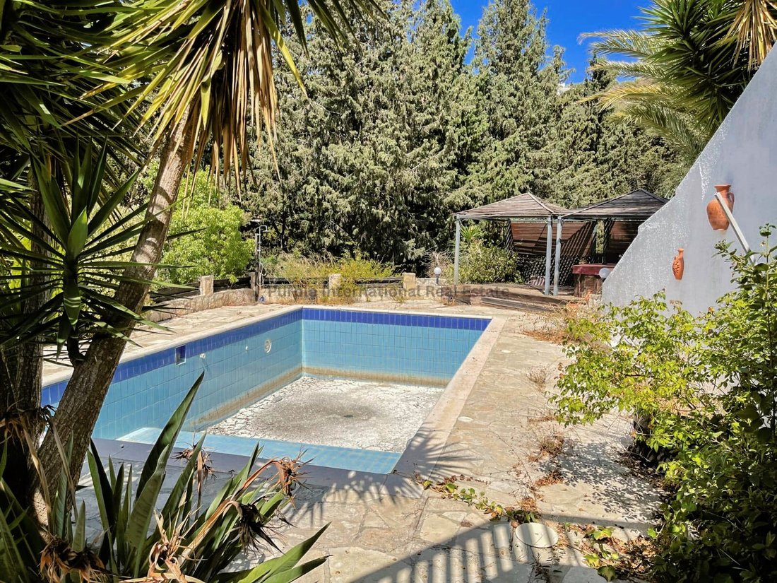 Villa in Tala, Paphos, Cyprus 4 - 15236045