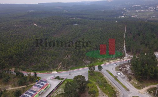 Land in Rio Maior, Santarem District, Portugal 1