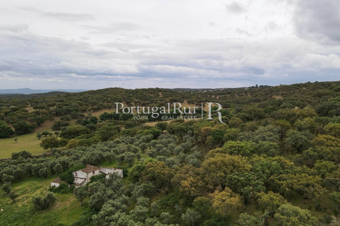 Estate in Borba (Matriz), Évora District, Portugal 4 - 14869555