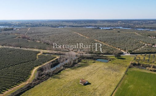 Finca a Benavila, Distretto di Portalegre, Portogallo 1