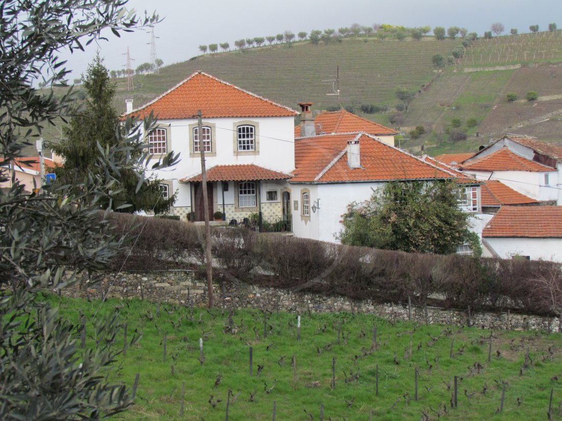 Finca in Lobrigos (Sao Miguel e Sao Joao Baptista) e Sanhoane, Vila Real District, Portugal 2 - 12094743