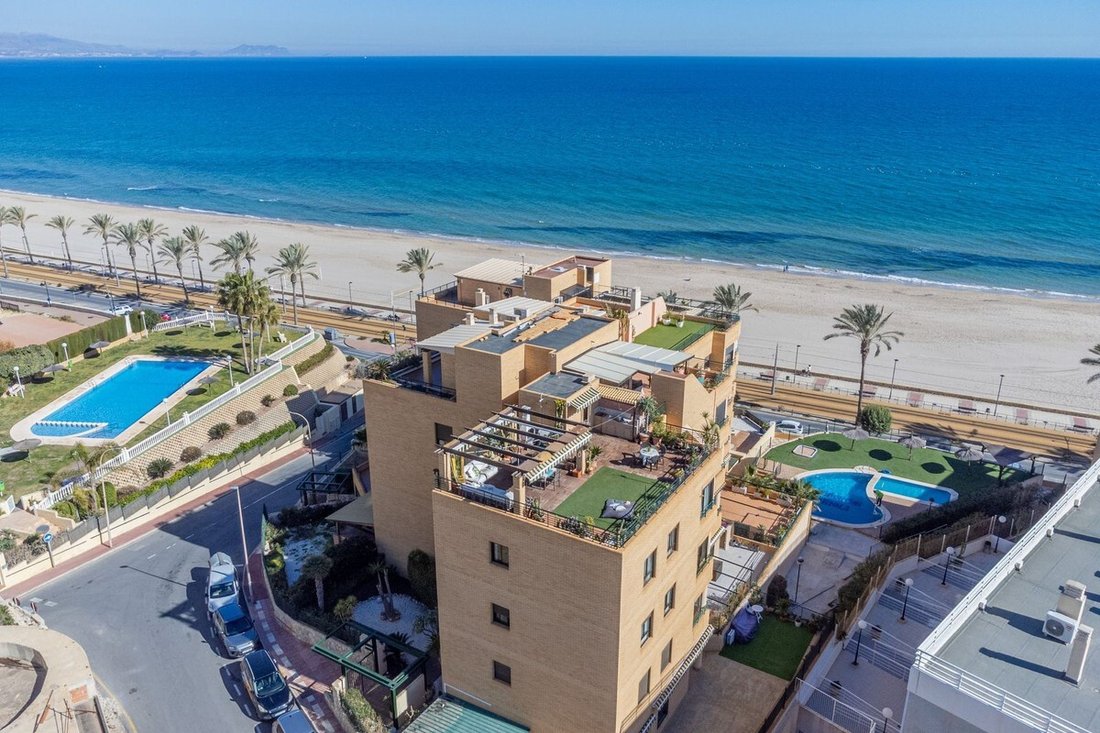 Apartment in el Campello, Valencian Community, Spain 3 - 15856076