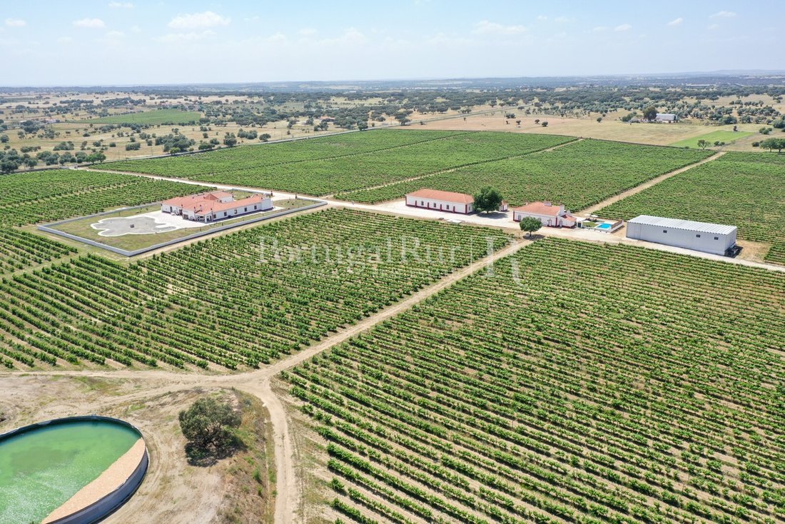 Estate in Corval, Évora District, Portugal 5 - 16517320
