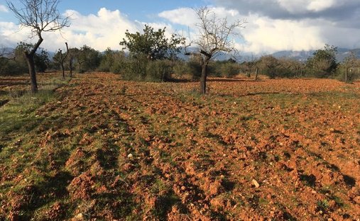 Land in Marratxi, Balearic Islands, Spain 1