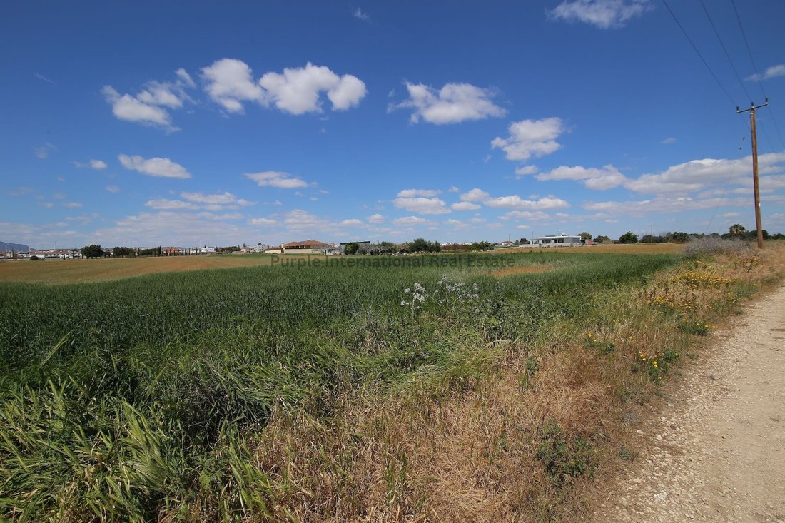 Land in Kiti, Larnaca, Cyprus 2 - 16711983