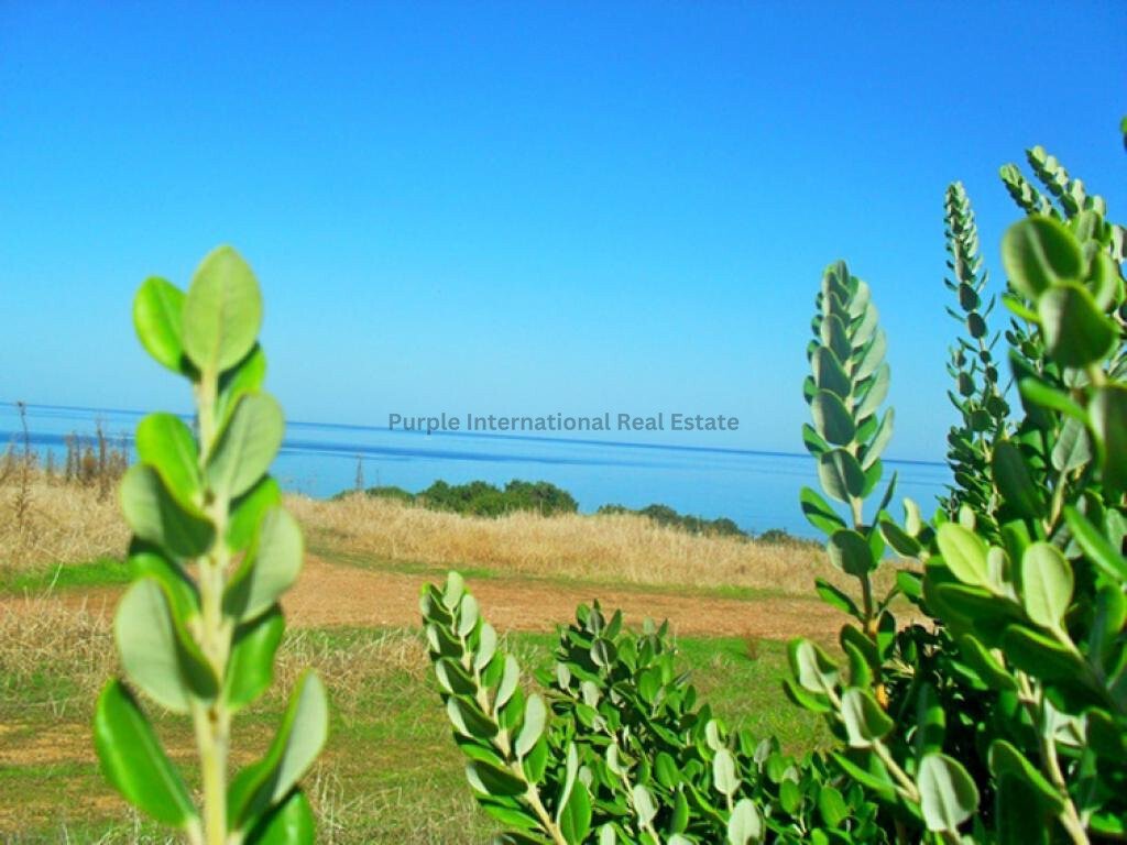 Villa in Neo Chorio, Paphos, Cyprus 5 - 15235610