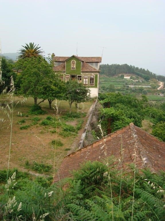 Finca in Santa Cruz do Douro e Sao Tome de Covelas, Porto District, Portugal 3 - 12436170