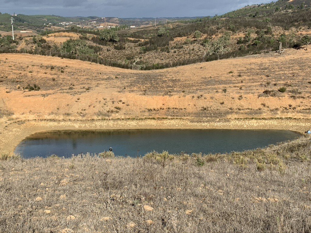 Finca in S.Teotónio, Beja District, Portugal 4 - 16392697