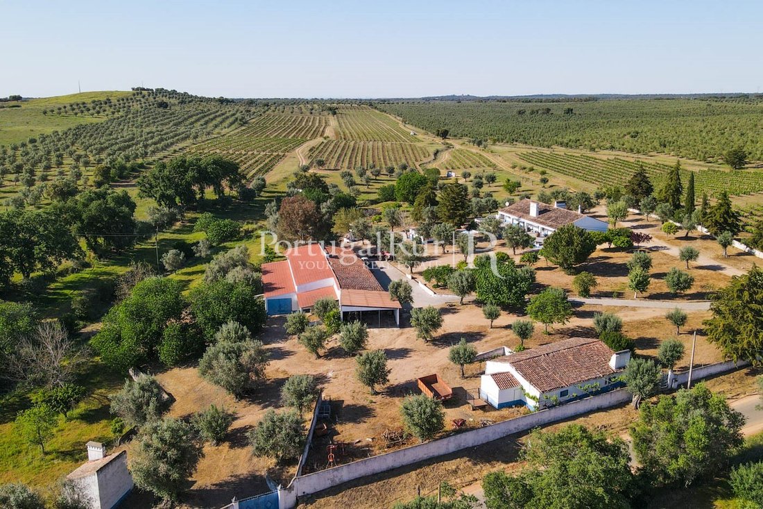 Estate in Galveias, Portalegre District, Portugal 4 - 14876612