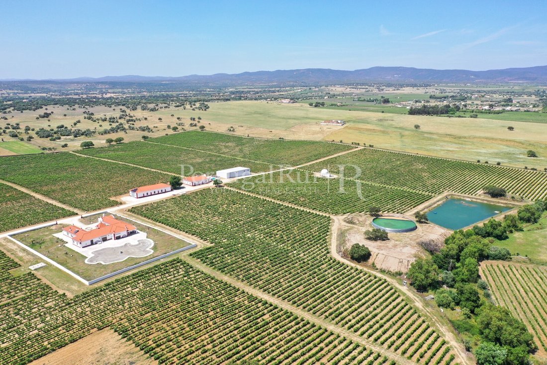Estate in Corval, Évora District, Portugal 1 - 16517320