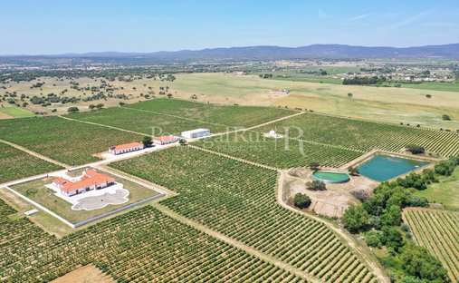 Tenuta a Corval, Distretto di Évora, Portogallo 1