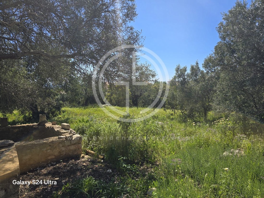 Land in Santa Barbara de Nexe, Algarve, Portugal 5 - 15404412