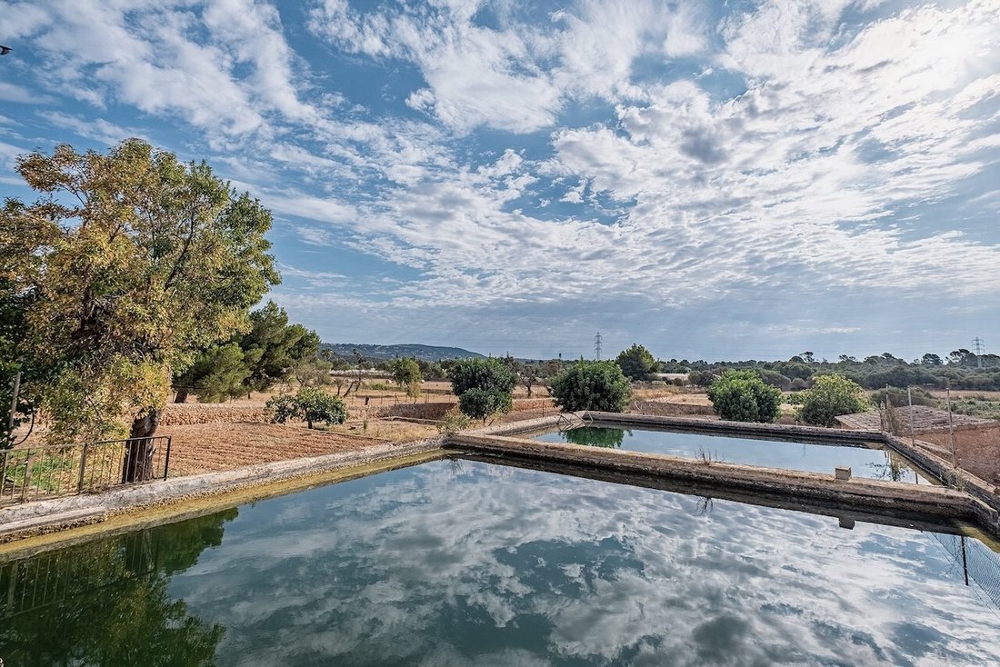 Country House in Palma, Balearic Islands, Spain 2 - 11761487
