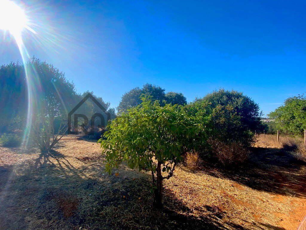 Land in Almancil, Algarve, Portugal 1 - 13032916