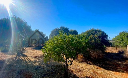 Land in Almancil, Algarve, Portugal 1