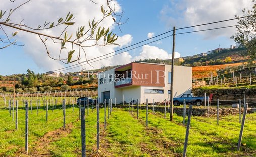 Finca in Barcos e Santa Leocadia, Viseu District, Portugal 1