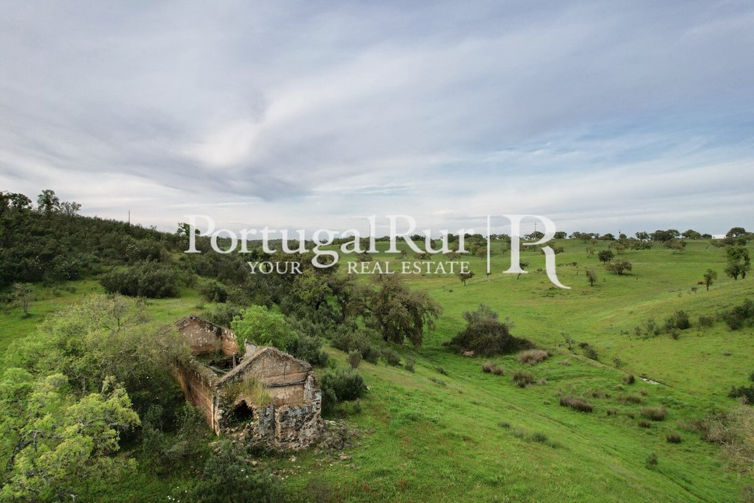 Finca in Santiago do Cacem, Santa Cruz e Sao Bartolomeu da Serra, Setubal, Portugal 5 - 14483675