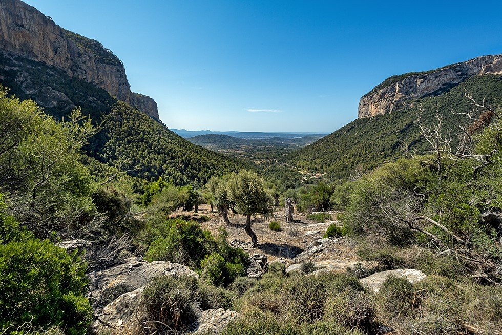 Country House in Alaro, Balearic Islands, Spain 2 - 16403259