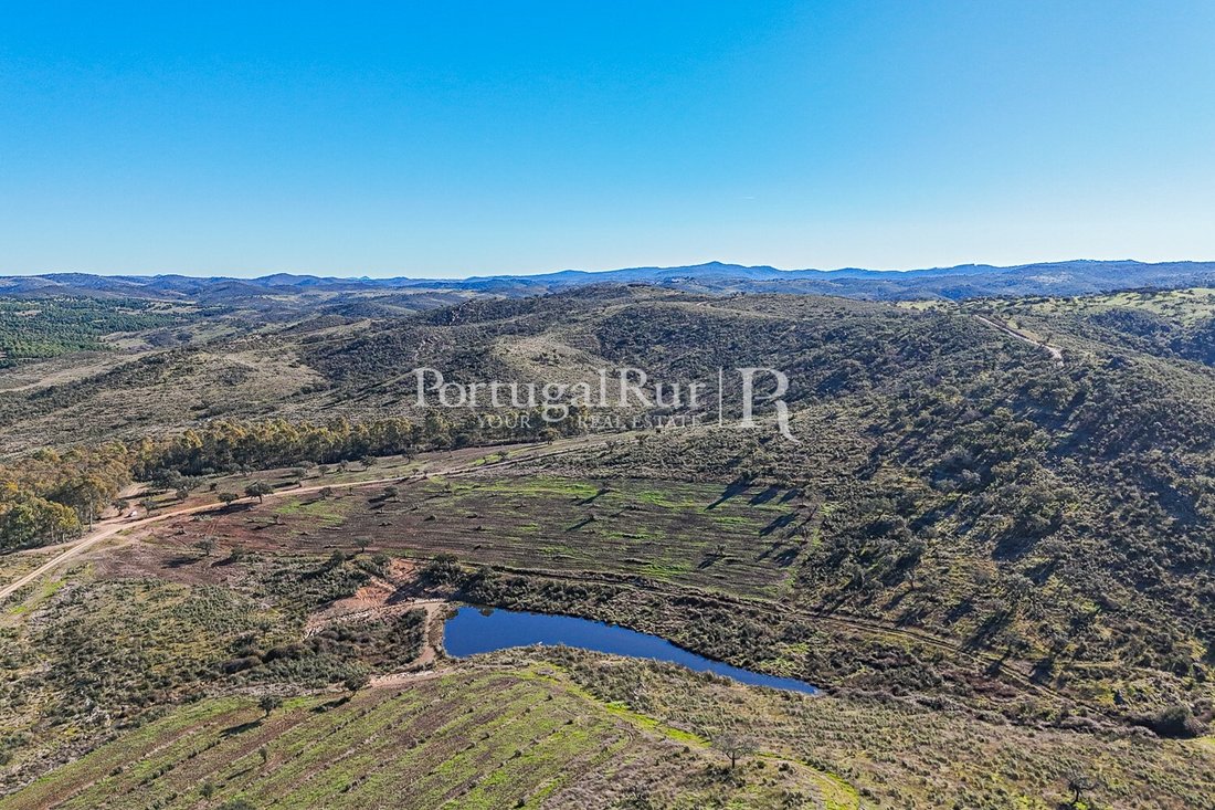 Estate in Amareleja, Beja District, Portugal 4 - 15085580
