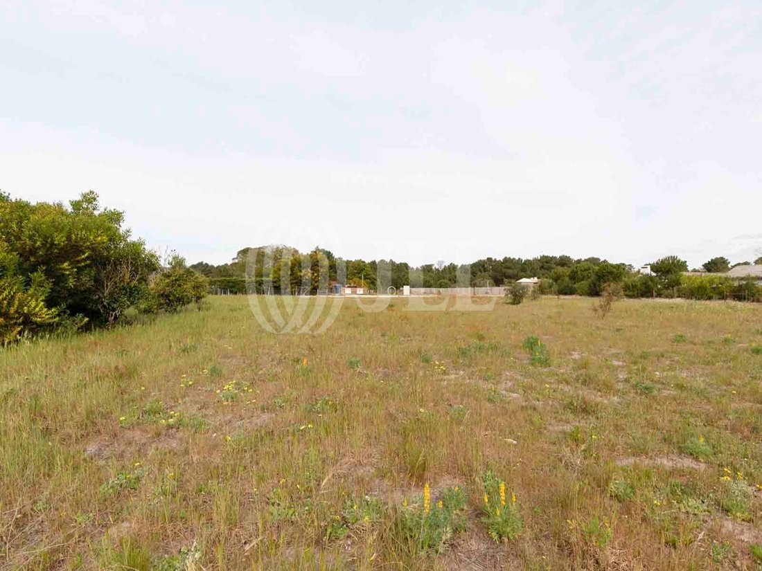 Land in Comporta, Setubal, Portugal 4 - 12675095